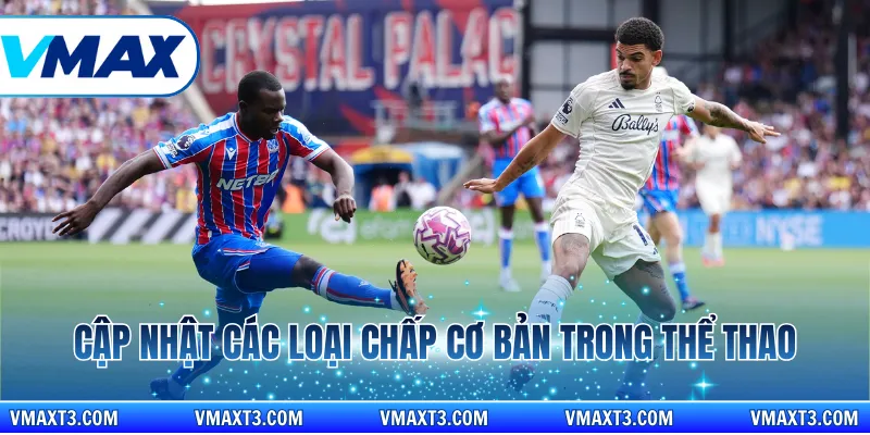 Cập nhật các loại chấp cơ bản trong thể thao